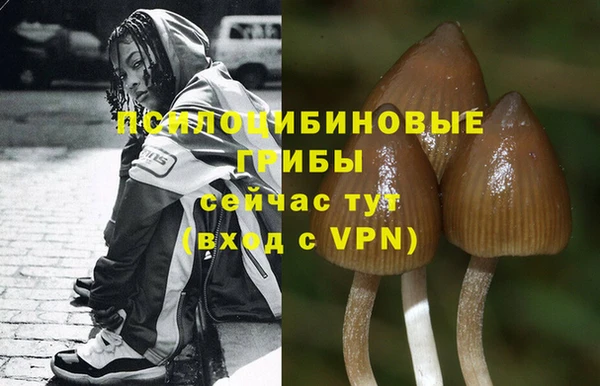 ALPHA PVP Абаза