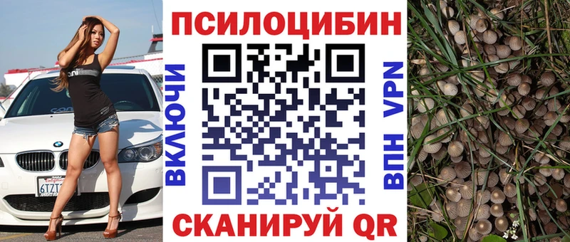 где купить   Чулым  мега ссылка  Галлюциногенные грибы Cubensis 